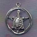 Turtle Totem Pentacle 7/8 inch across